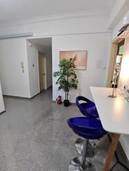 The Sunny Spring (D14), Apartment #572946731